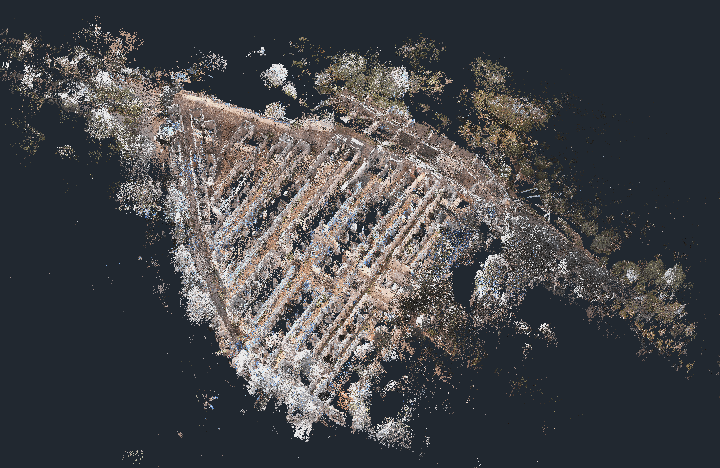 Nuvola di punti del cimitero — vista 1